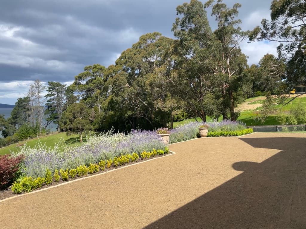 Lavender-lined path with eucalyptus trees — The Cottage at Flowerpot, Southern Tasmania