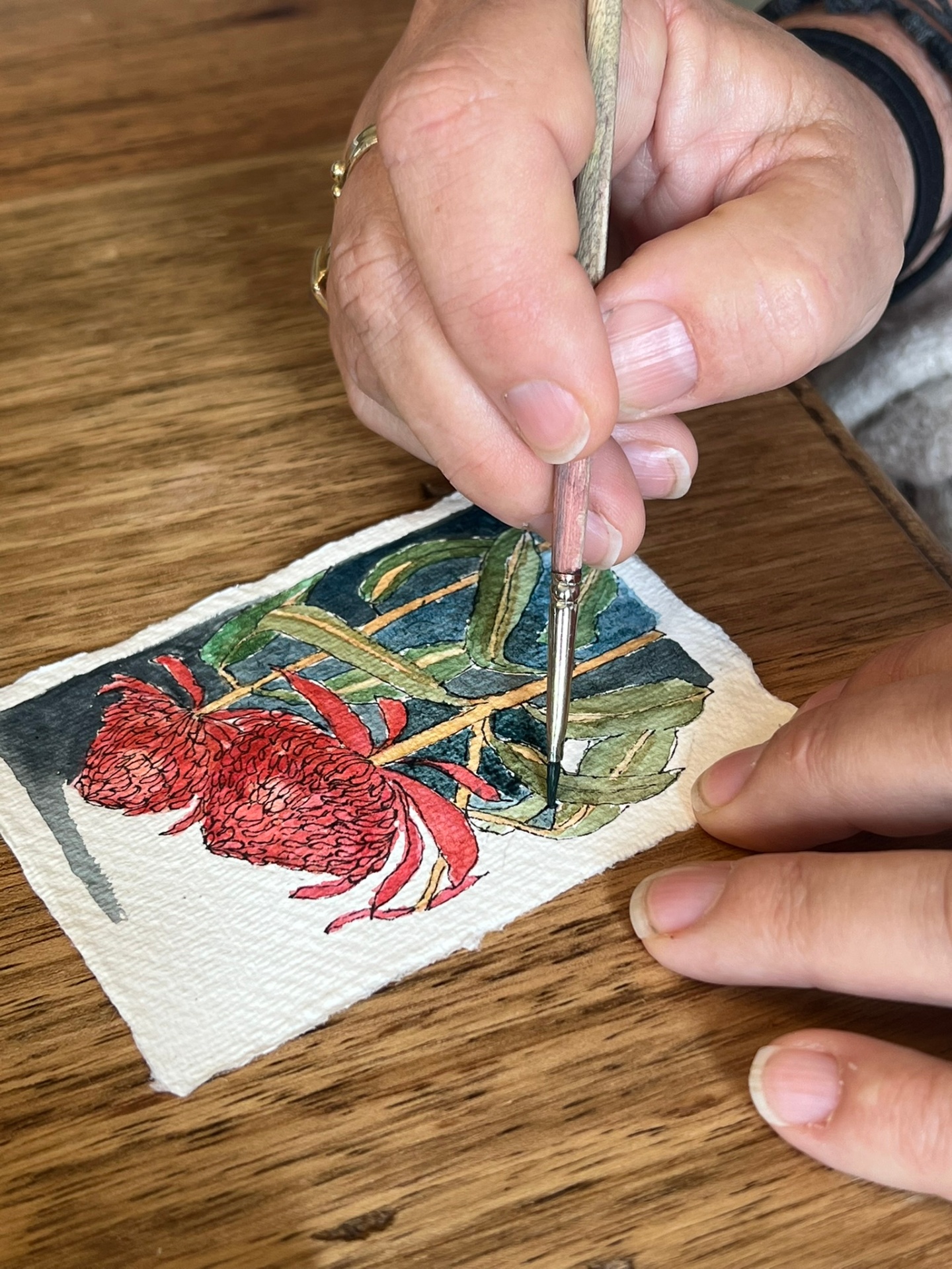 Close-up of watercolour painting of native Tasmanian flora
