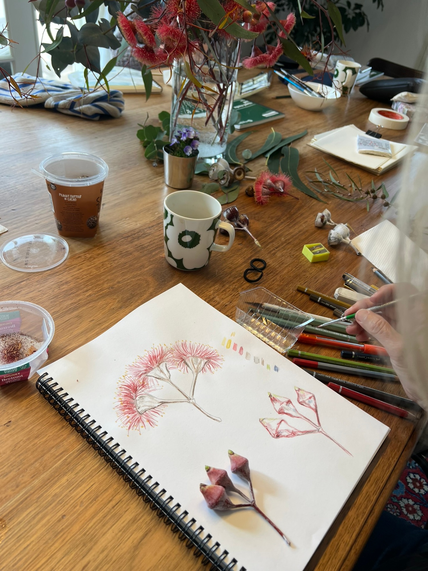 Botanical illustration sketchbook with native Tasmanian flowers